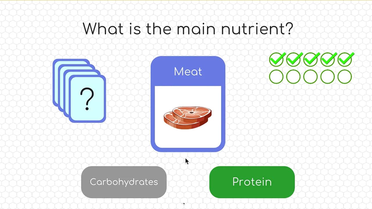 BodyQuest - Meat the nutrient