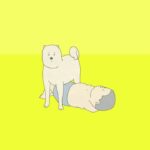 My Exercise Review