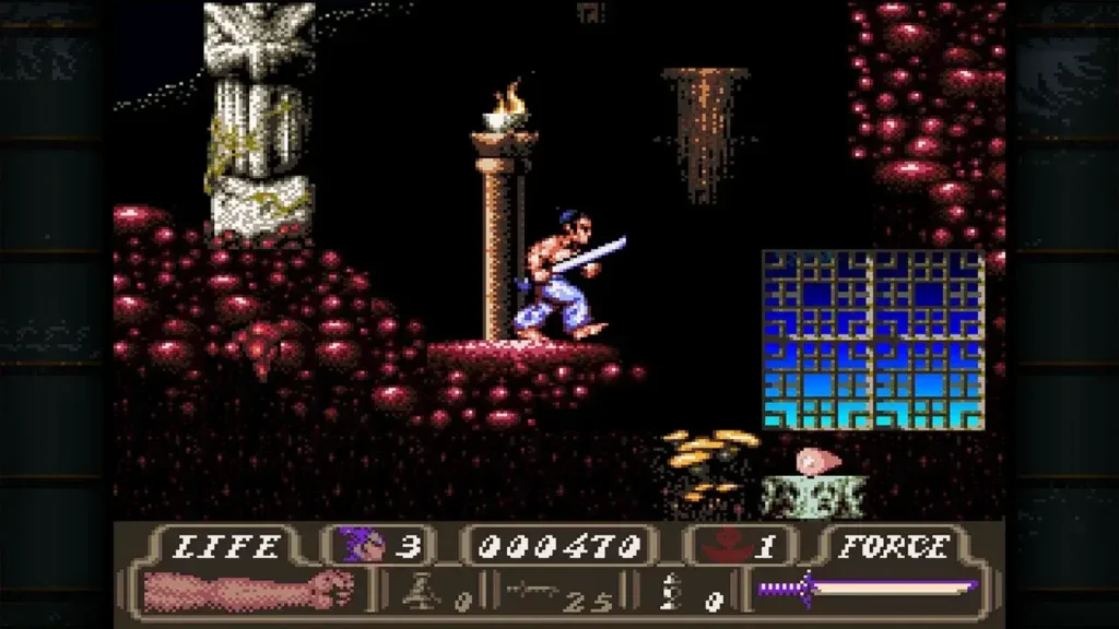 Beat 'Em Up Collection (QUByte Classics) Review - First Samurai