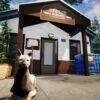 Animal Shelter Simulator Review