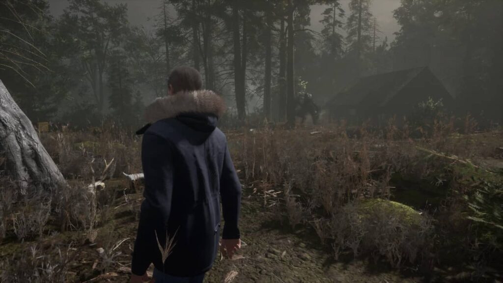 Stray Souls PS5 Review - Wildling