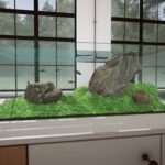 Aquarium Designer Review