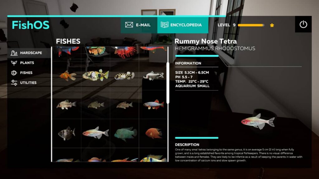 Aquarium Designer Review - A game of rummy