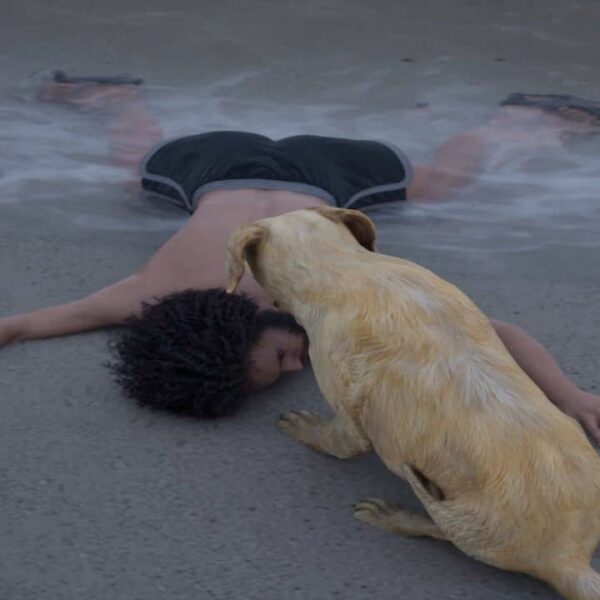 Restore Your Island Preview