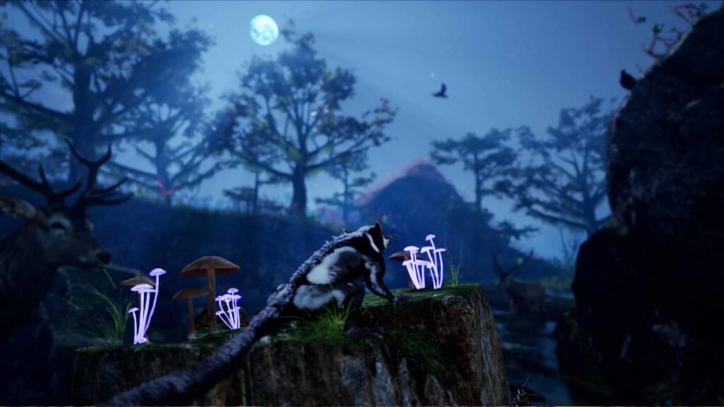 Away: The Survival Series Review - Night scene