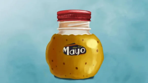 My Name Is Mayo Review
