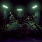 Crabmeat Review