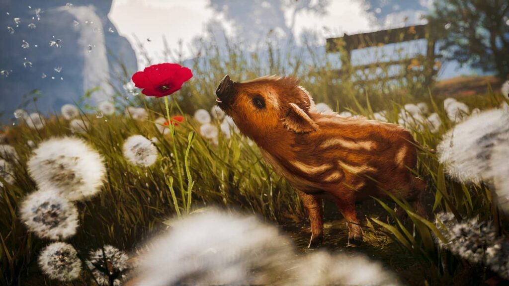 Adorable Adventures Review