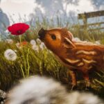 Adorable Adventures Review