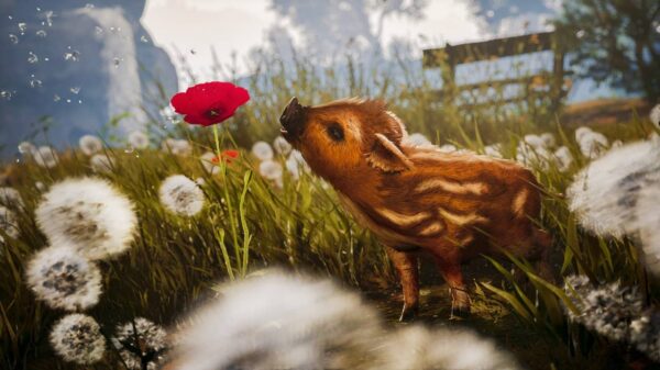 Adorable Adventures Review