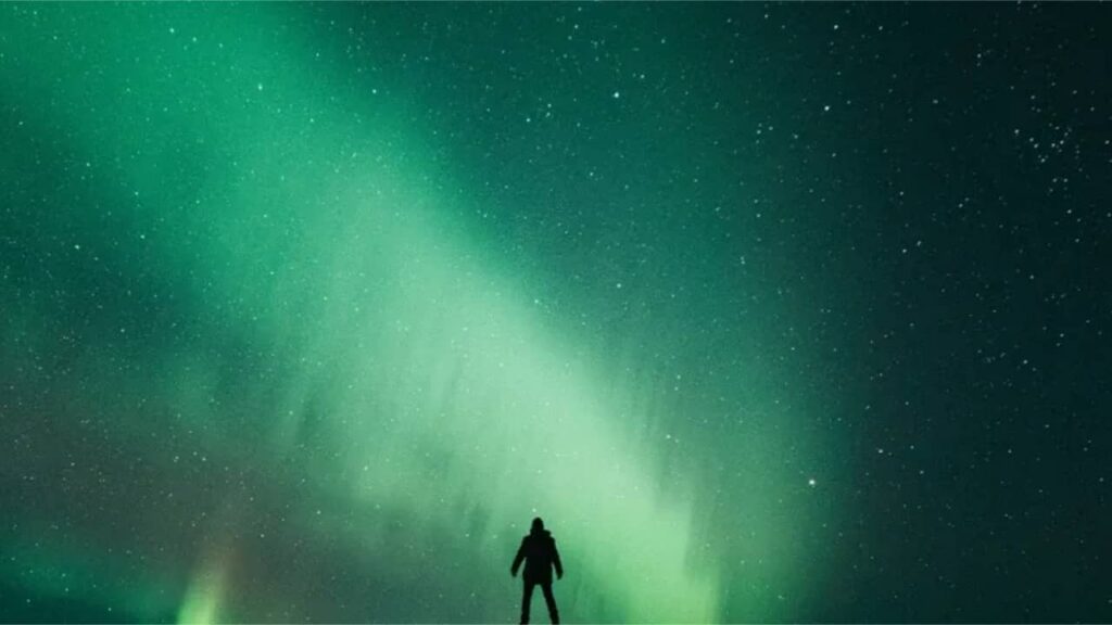 The Green Light Review