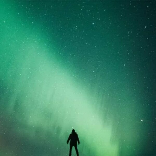 The Green Light Review