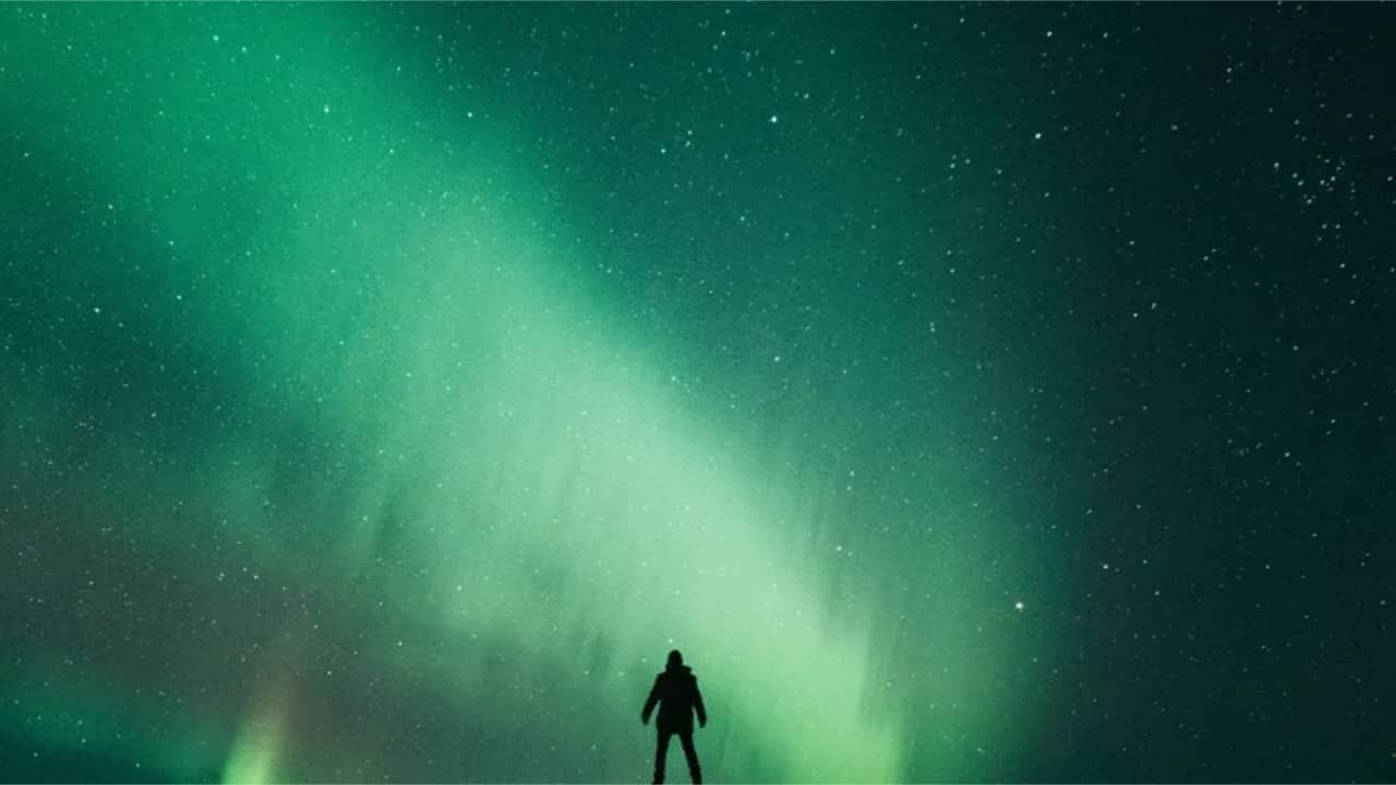The Green Light Review