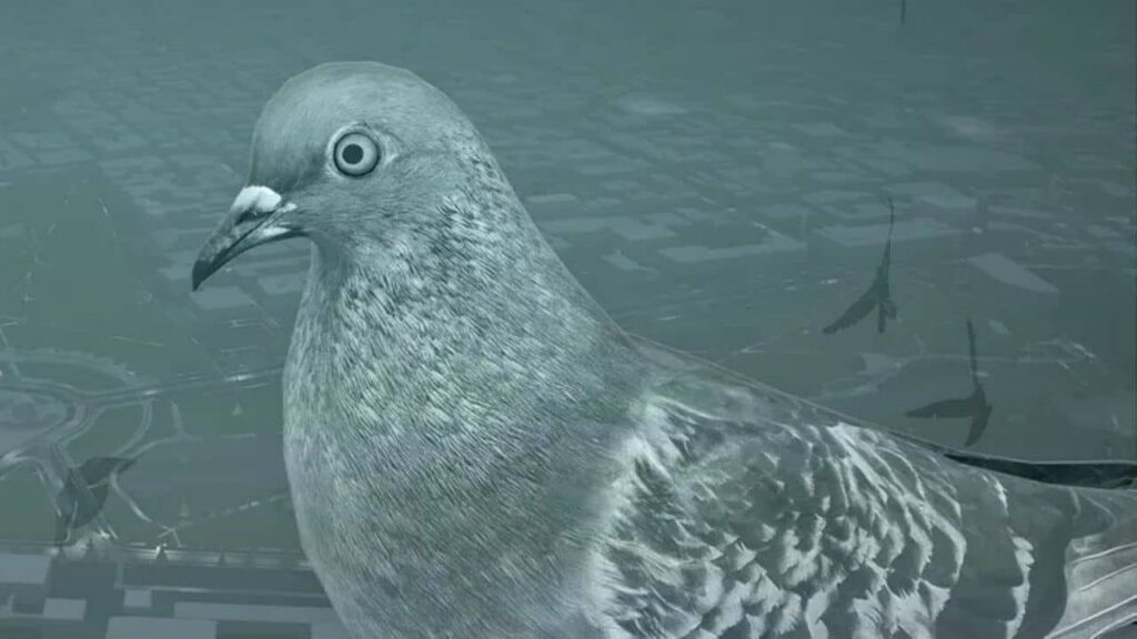 Pigeon: A Love Story Review