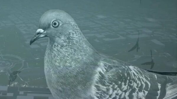 Pigeon: A Love Story Review