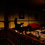 Catsperience Review - Edgy
